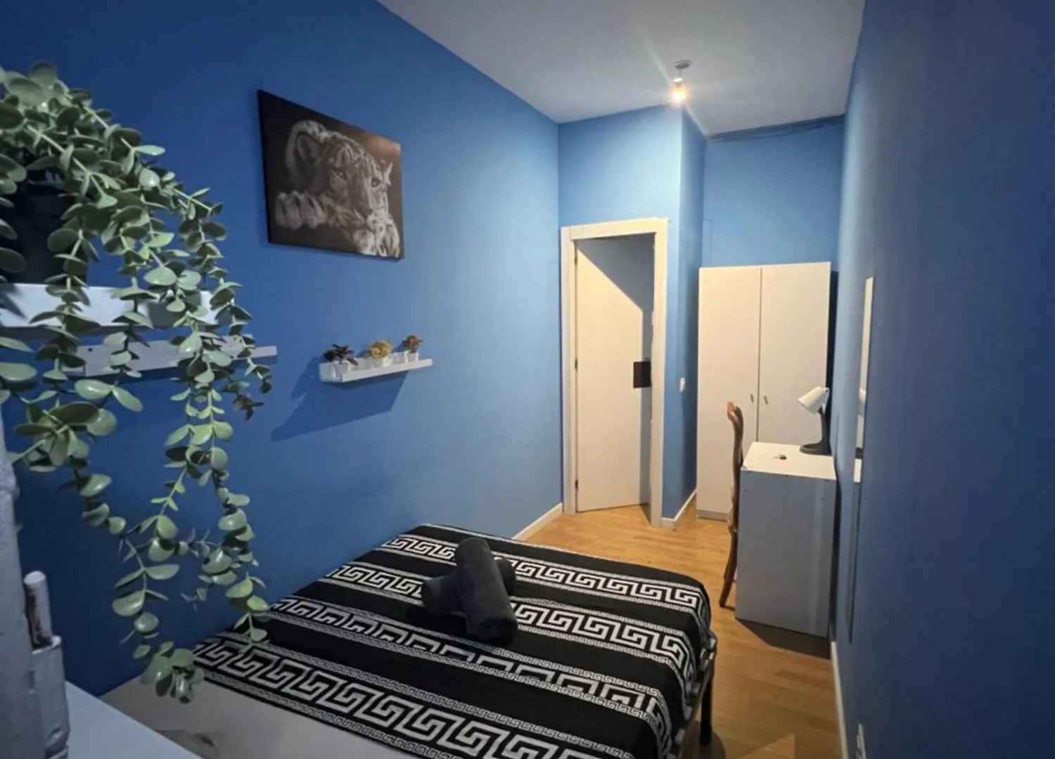 Rooms In Spacious Apartment In City Center Barcelona