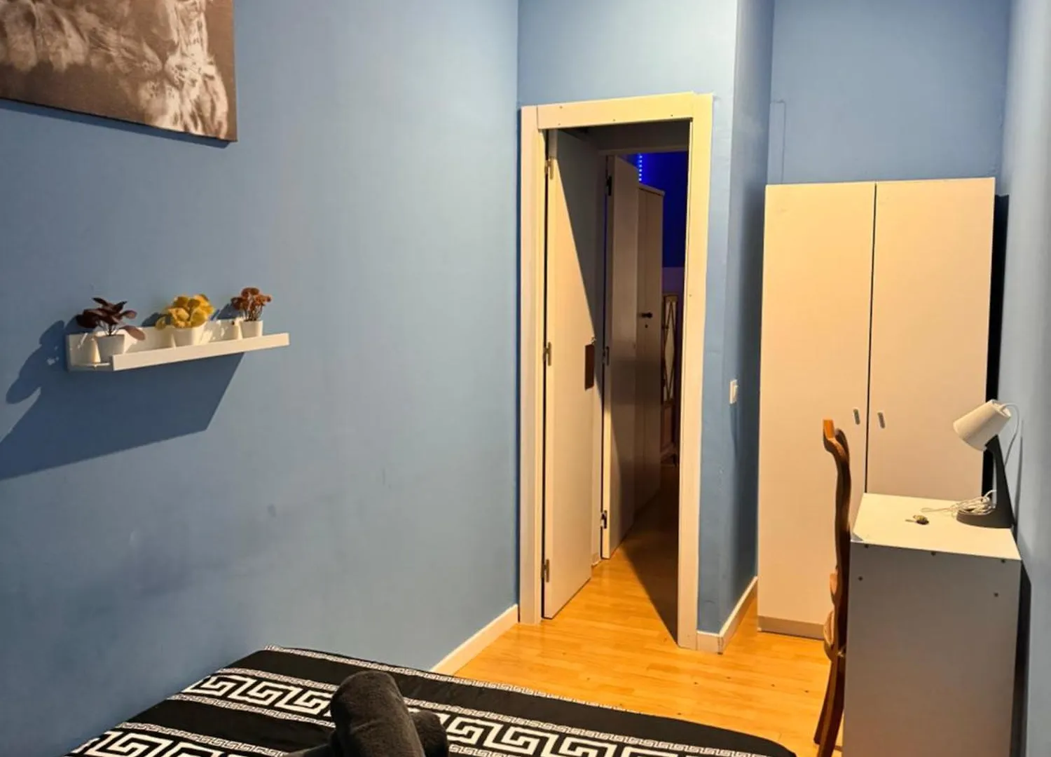 Rooms In Spacious Apartment In City Center Barcelona Spain