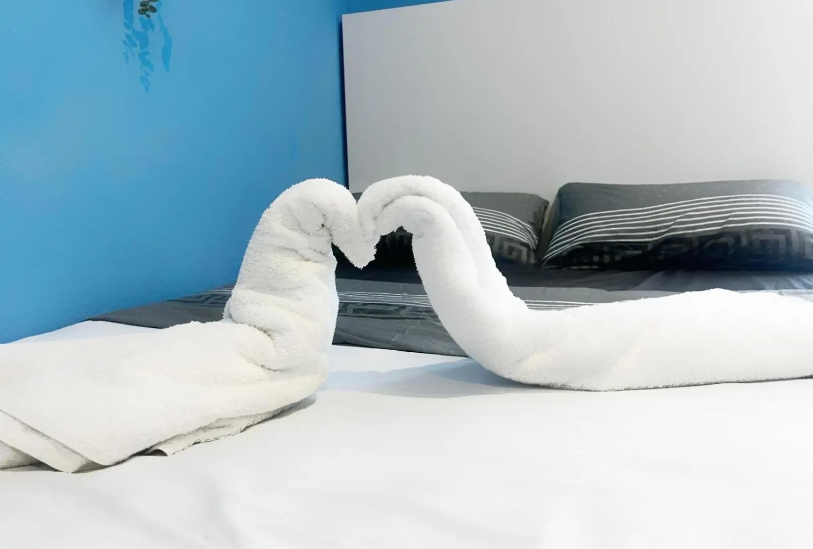 Rooms In Spacious Apartment In City Center Barcelona